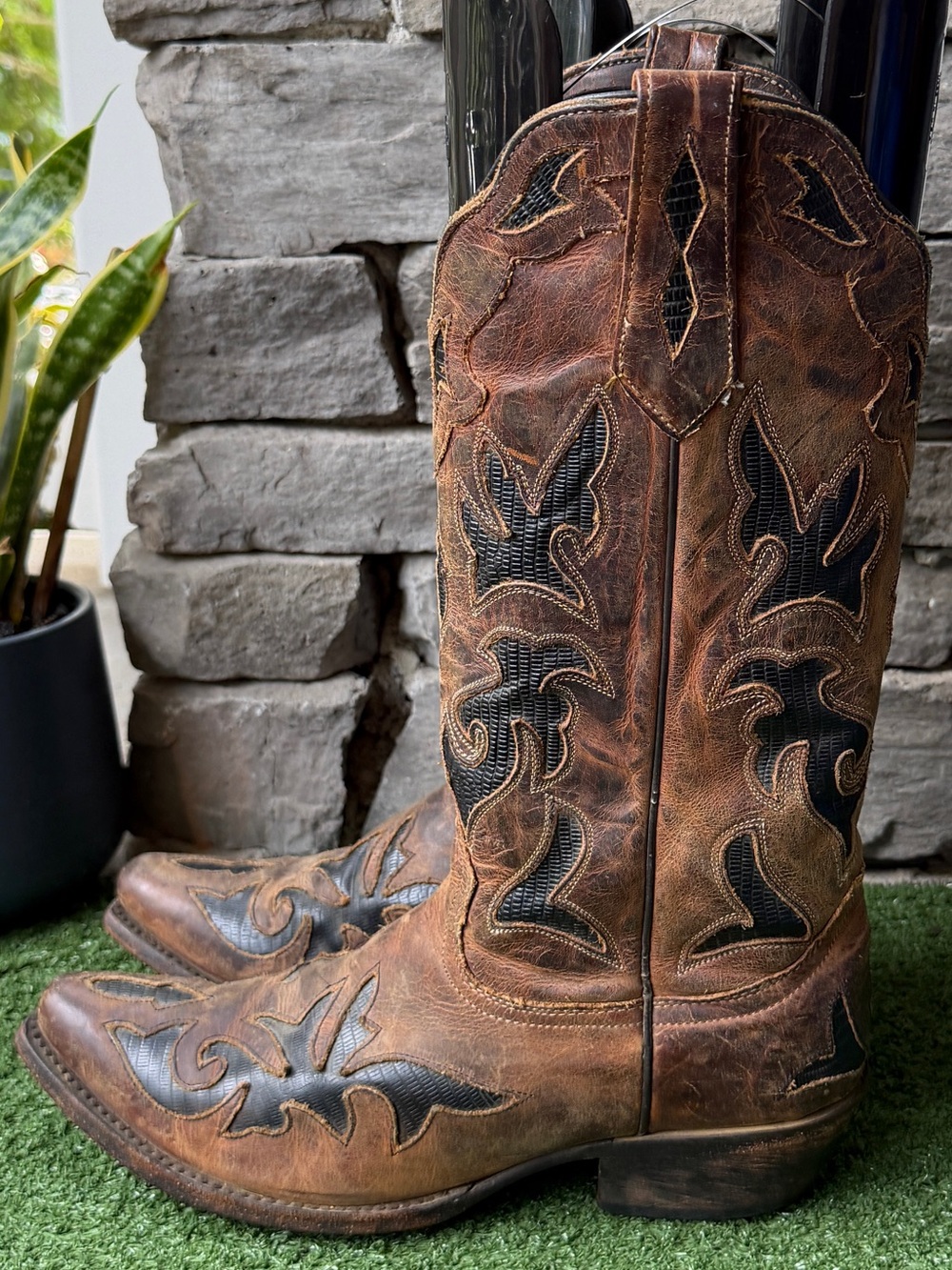 Johnny Ringo Brown Leather Lizard Inlay Snip Toe Women’s Cowgirl Boots